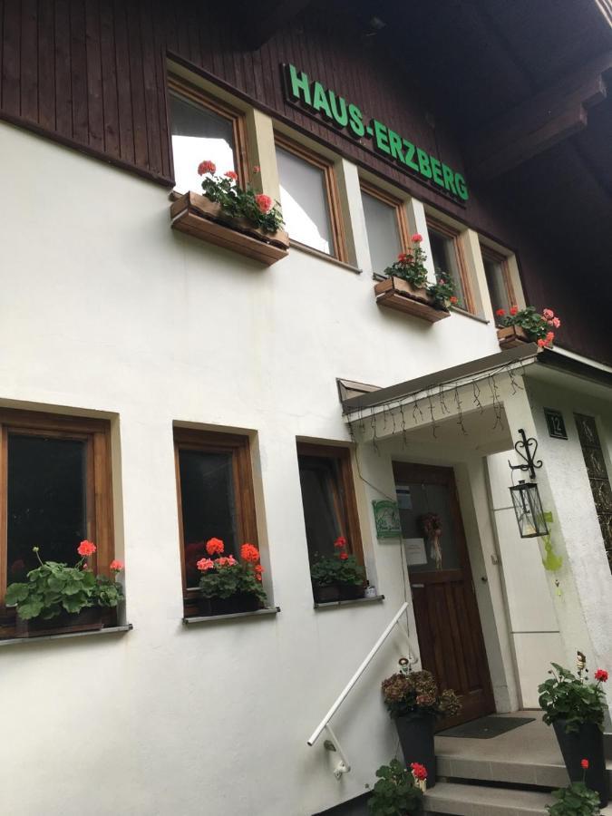 Bed and Breakfast Haus-Erzberg Vordernberg Экстерьер фото